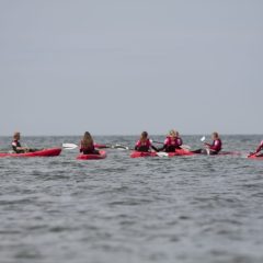 Kajakken Bedrijfsuitje