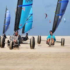 natural-high bedrijfsuitje